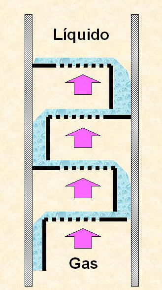 Estructura de platos